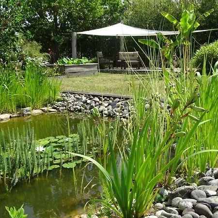 Tilleuls Et Bambous Affittacamere 3*